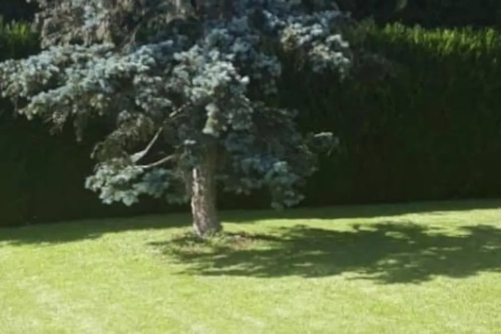 Splendid And Quiet Studio Surrounded By Green Διαμέρισμα Γενεύη Ελβετία