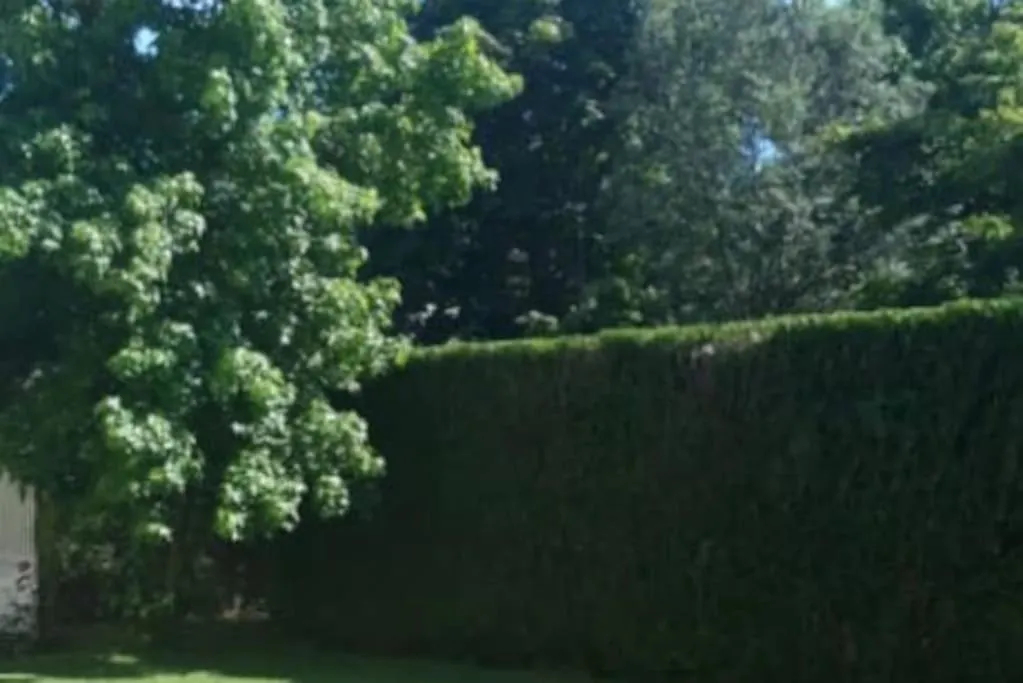 Splendid And Quiet Studio Surrounded By Green Διαμέρισμα Γενεύη