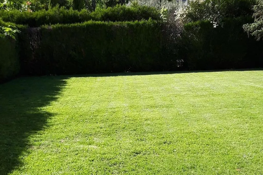 Splendid And Quiet Studio Surrounded By Green Διαμέρισμα Γενεύη